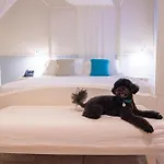 Marenea - Cdshotels 5*