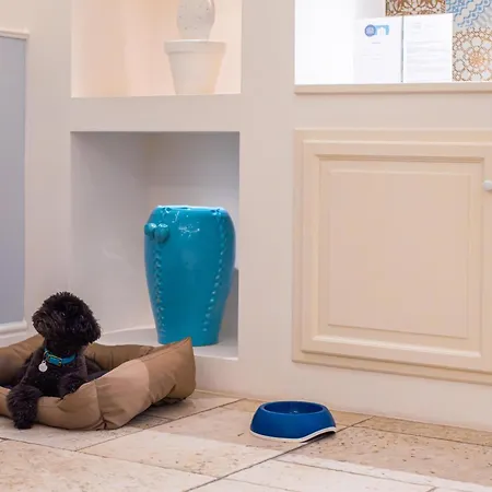 Hotel Marenea - Cdshotels Marittima