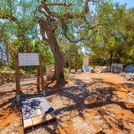 Marenea ماريتيما