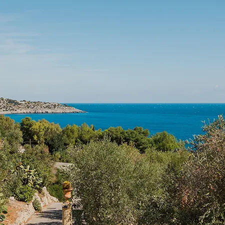 Hotel Marenea Marittima