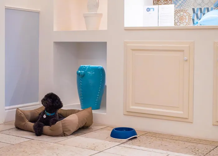 Hotel Marenea - Cdshotels Marittima